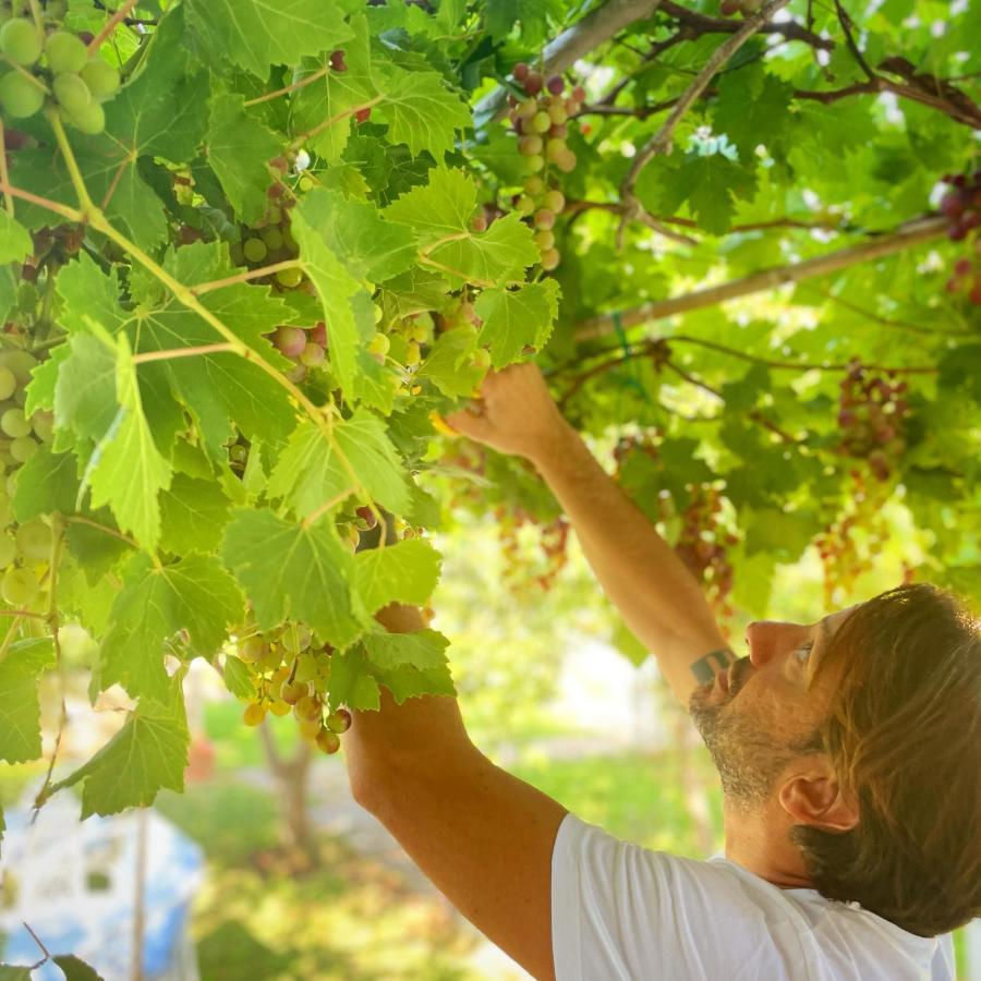 Masseria Vittoria Акая Екстериор снимка